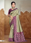 Pochampalli 17 By Bunawat Silk Traditional Woven Sarees Exporters In India